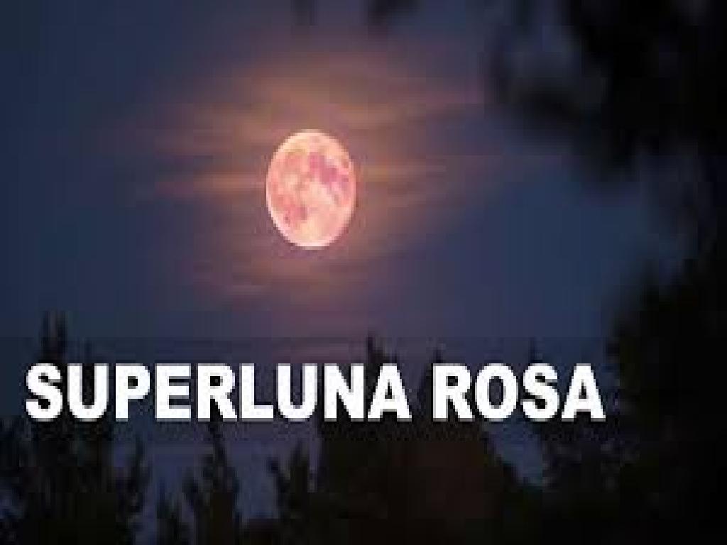 imagen-todo
